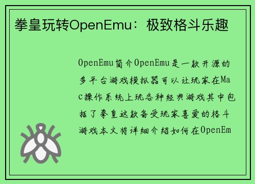 拳皇玩转OpenEmu：极致格斗乐趣