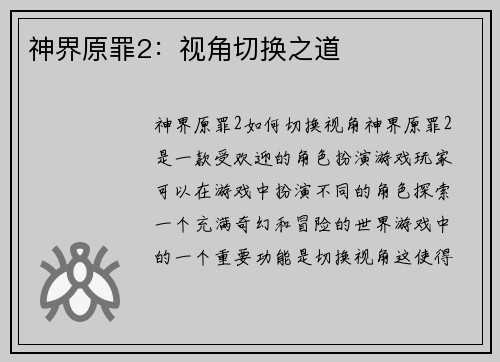 神界原罪2：视角切换之道